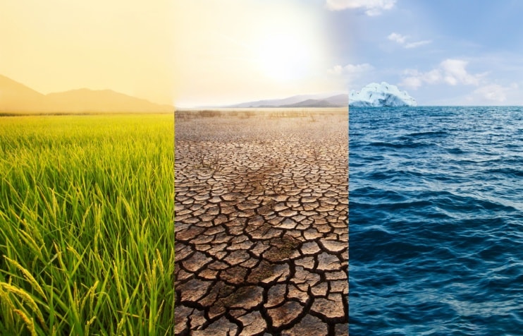 grass, dirt, and ocean scenery