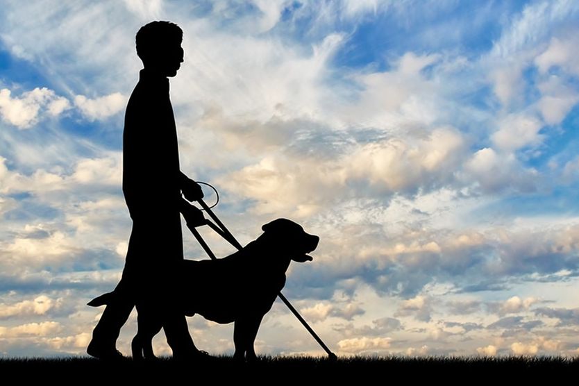 Silhouette of blind man with his guide dog