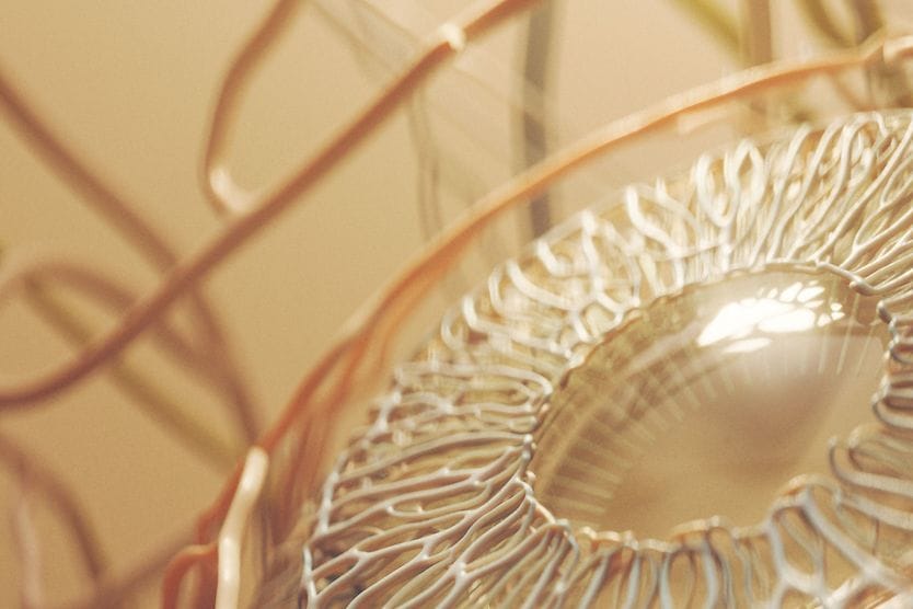 Eye Anatomy