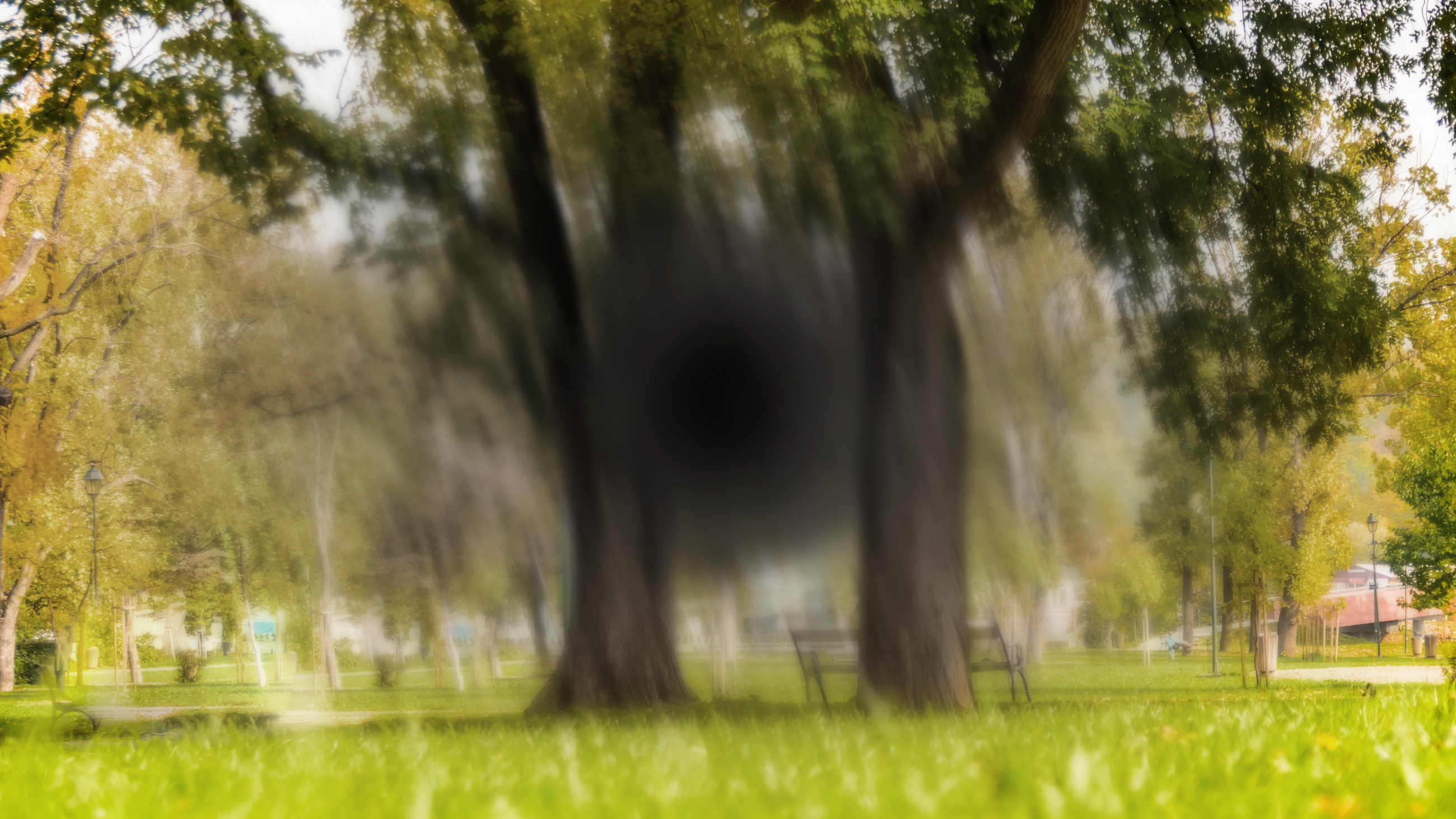 depiction of central temporary vision loss