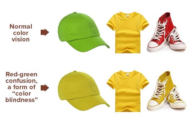 normal color vision vs. red-green color blindness child doing a colorblindness test