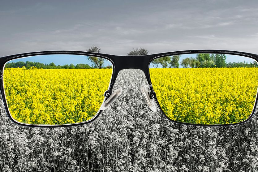 Tritanopia: Definition, diagnosis and prevalence tritanopia (blue-yellow color blindness)