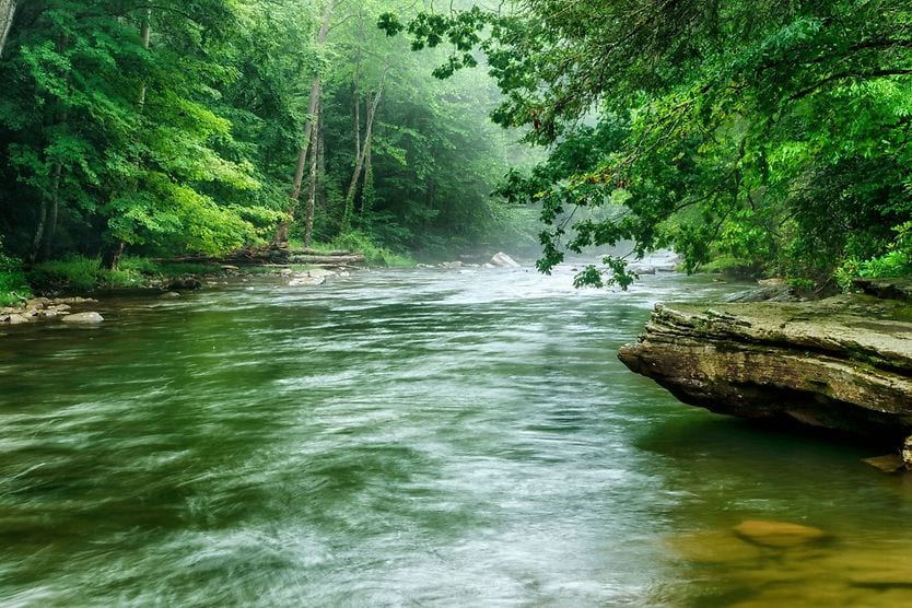 River Blindness: Causes, Symptoms, Risks And Treatment