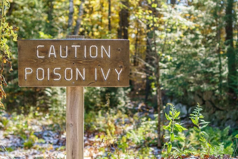 Can you get poison ivy in your eyes? sign post warning of poison ivy
