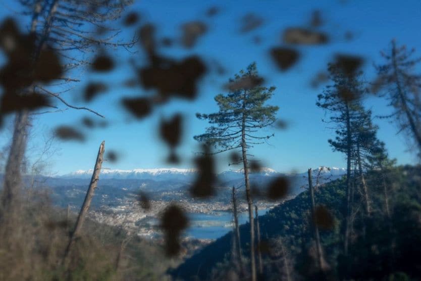 Black spots in your vision: Floaters or something else? view of landscape with dark spots in vision