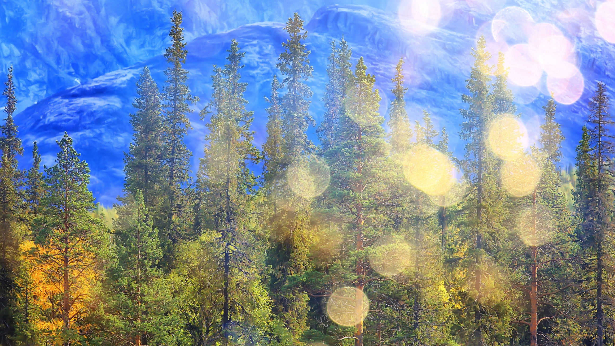 flashes in view mountain forest scene
