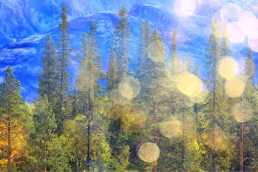 Flashing lights in the eyes (photopsia): What causes them? flashes in view mountain forest scene