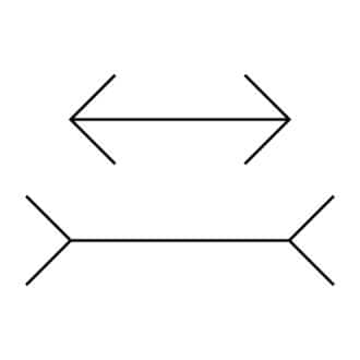 Optical illusions and the human eye Optical illusions and the human eye