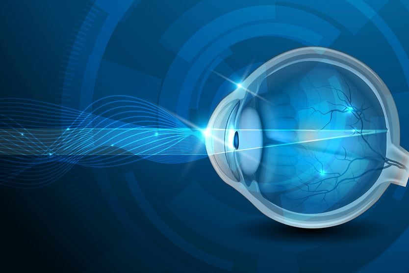 Eye anatomy: A closer look at the parts of the eye eye diagram
