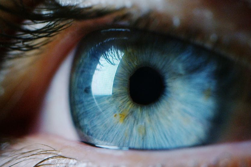 Vision: How does eyesight work? closeup image of an eye (vision)