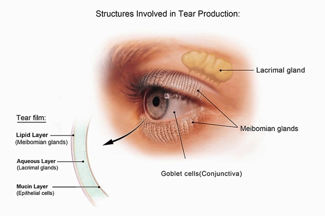 Tears and eye health Tears and eye health