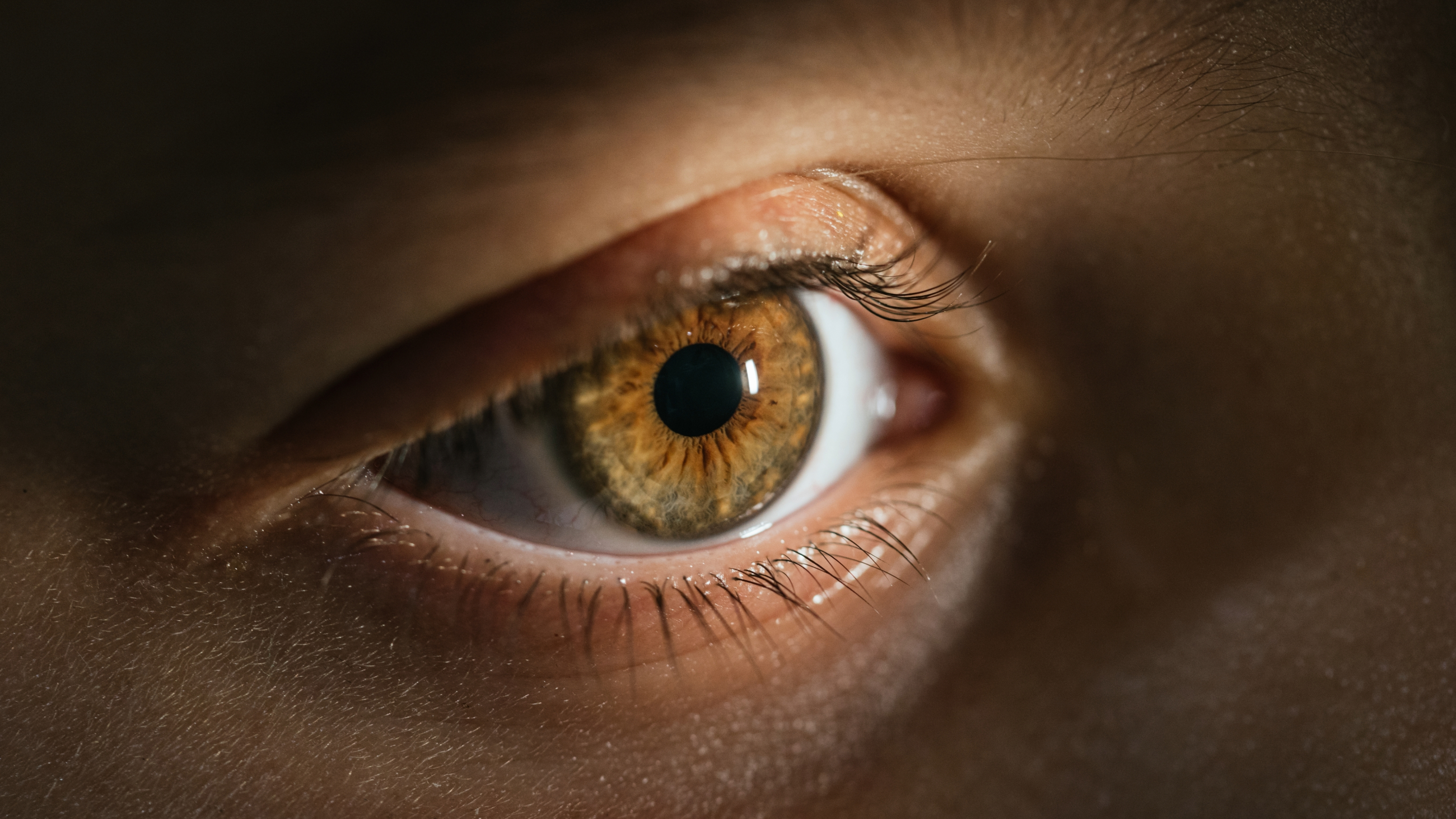 Hazel eye color