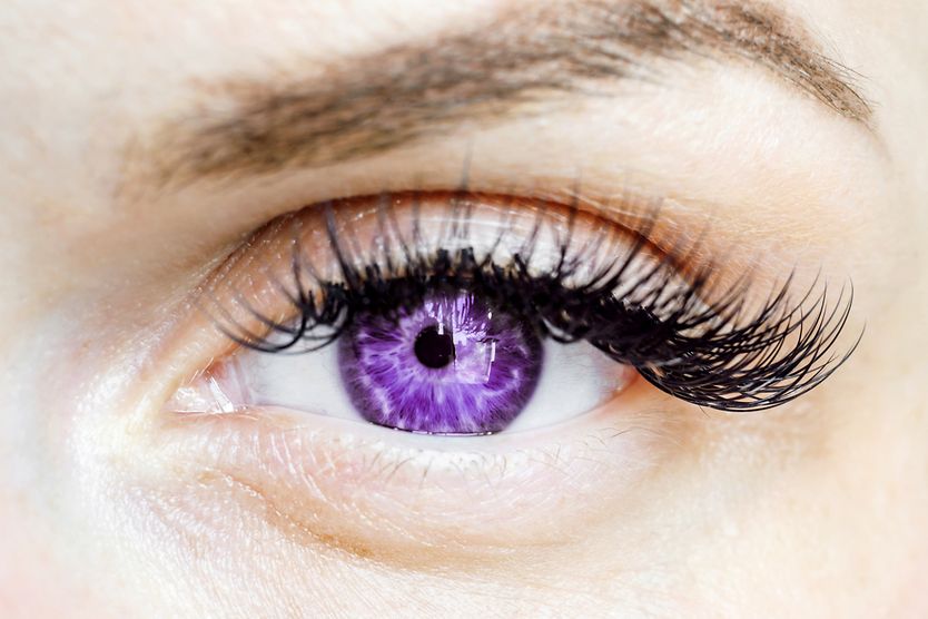 Violet eyes closeup of a violet eye