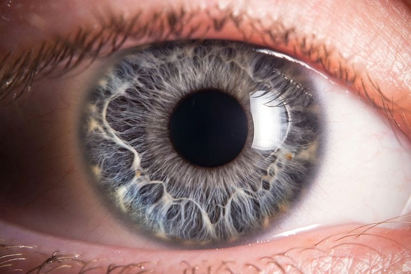 Limbus Macro photo of the human eye.
