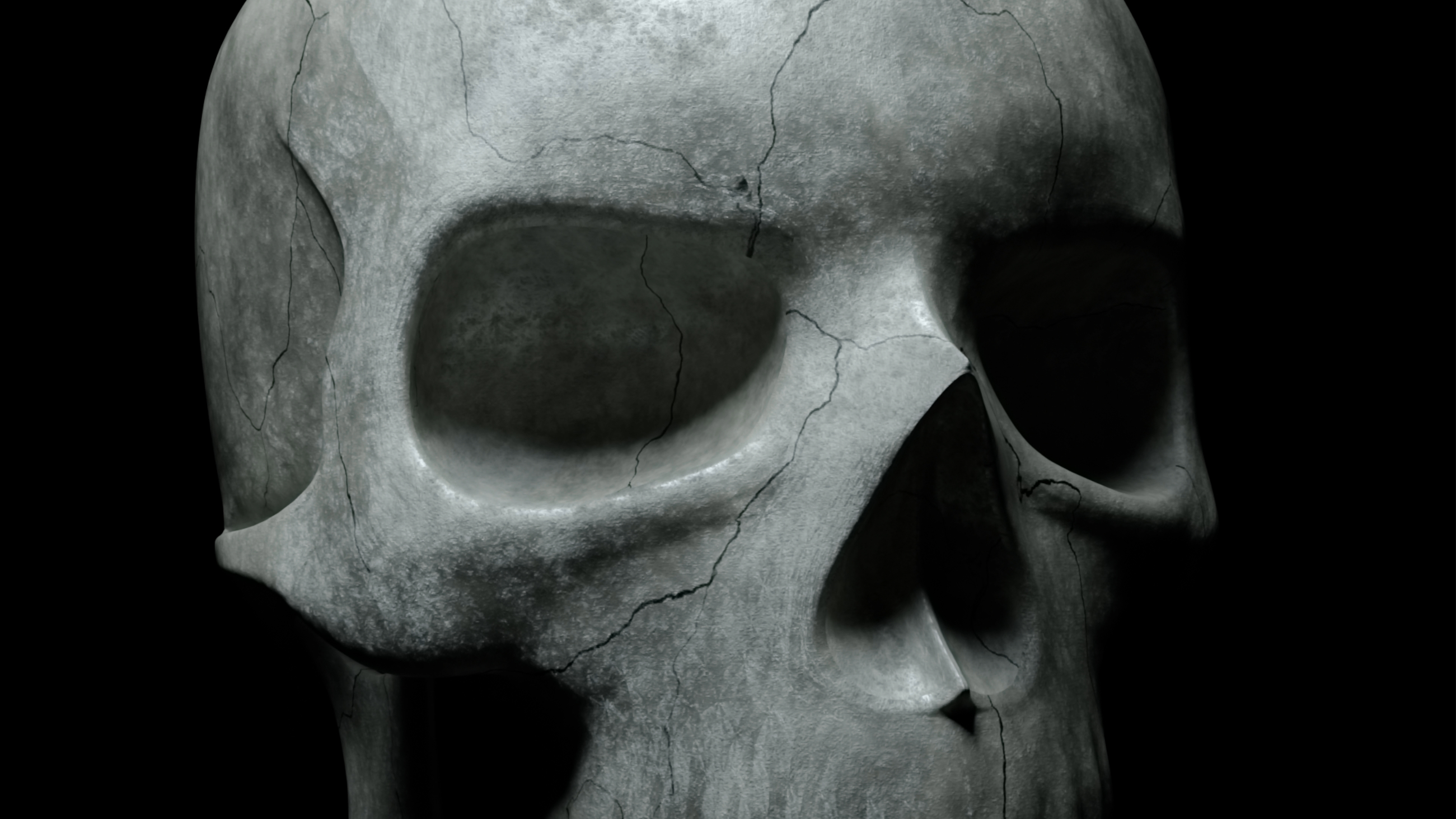 closeup of the orbital bone on a skeleton