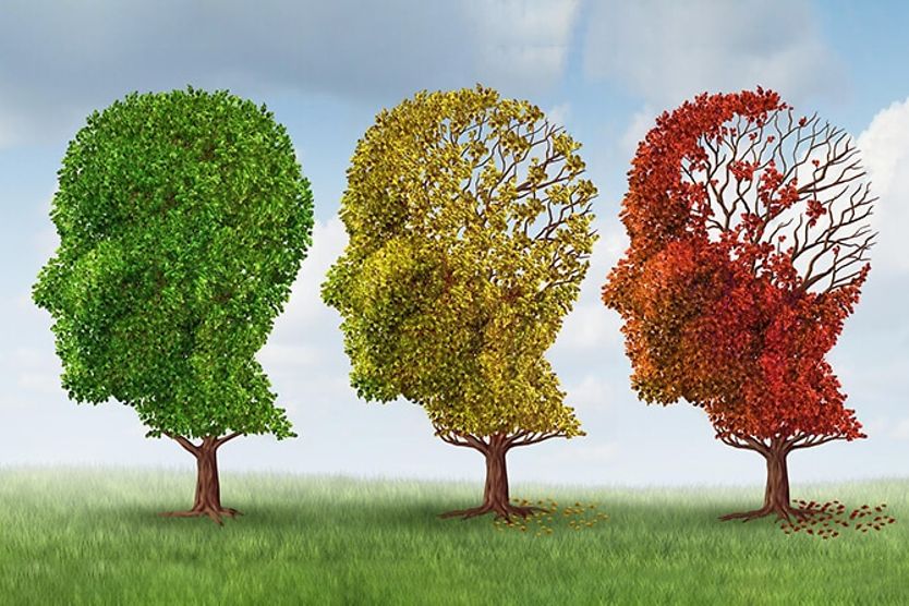 3 trees in the shape of heads with leaves slowly blowing away