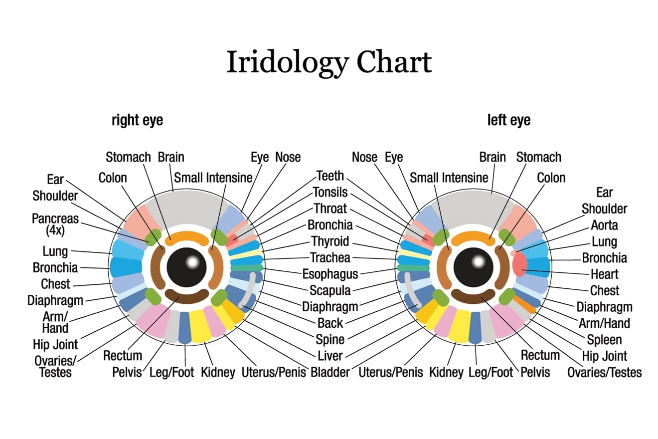 Can iridology really detect health conditions by analyzing the iris? Can iridology really detect health conditions by analyzing the iris?