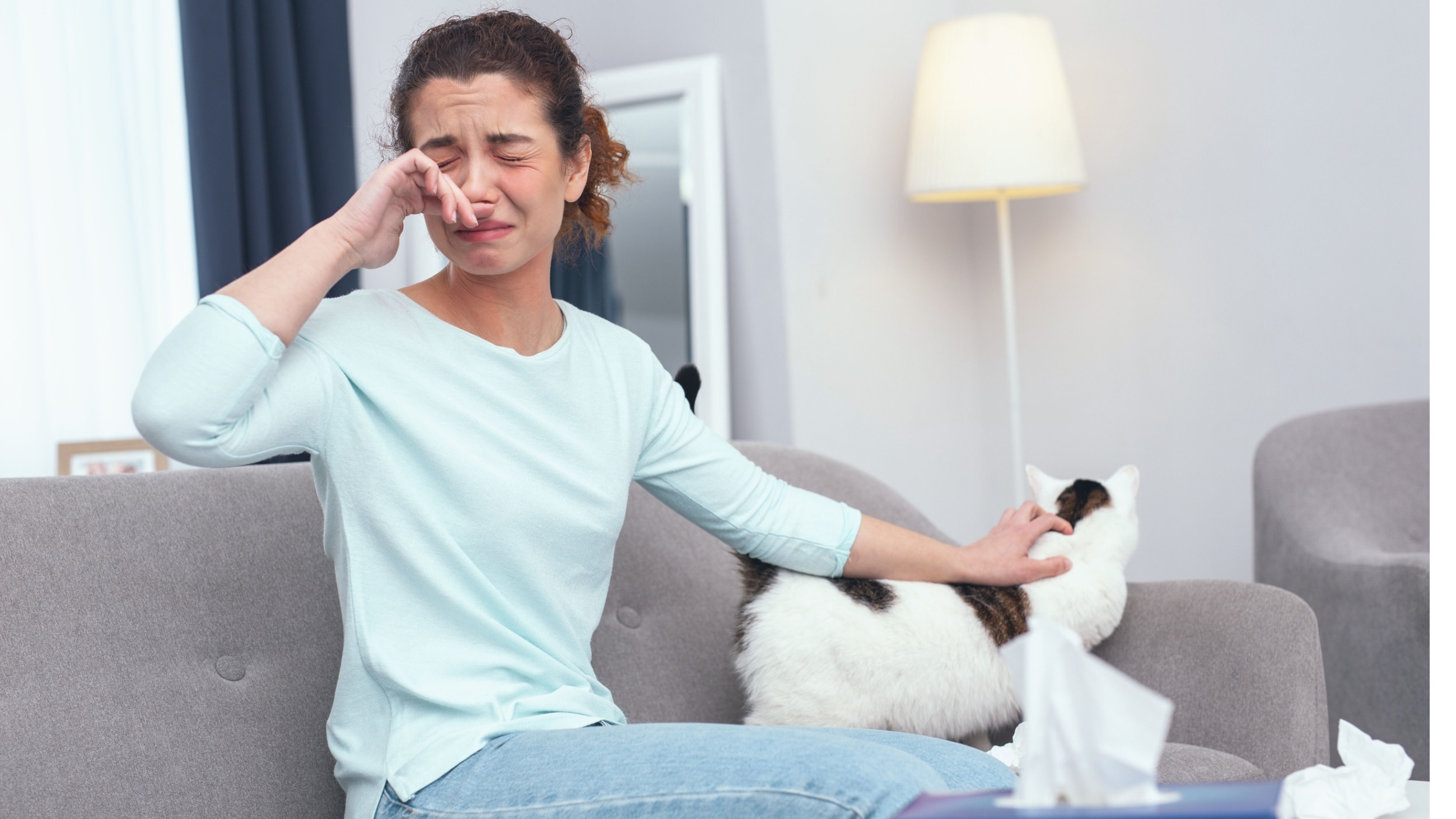 Cats and eye allergies: Symptoms, causes and how to help
