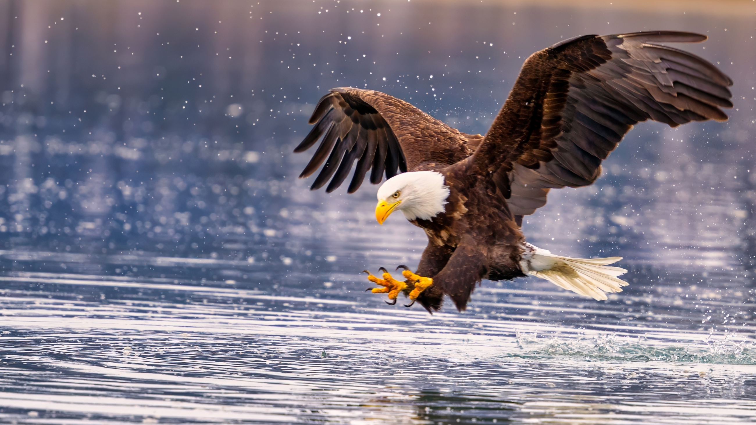 What is eagle eye vision?