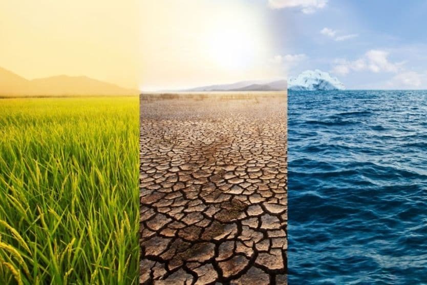 grass, dirt, and ocean scenery