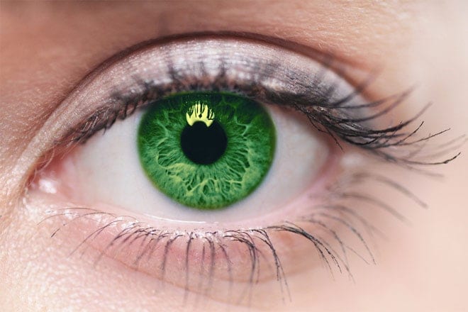 Two colored contact lenses, one for blue eyes and one for purple eyes.