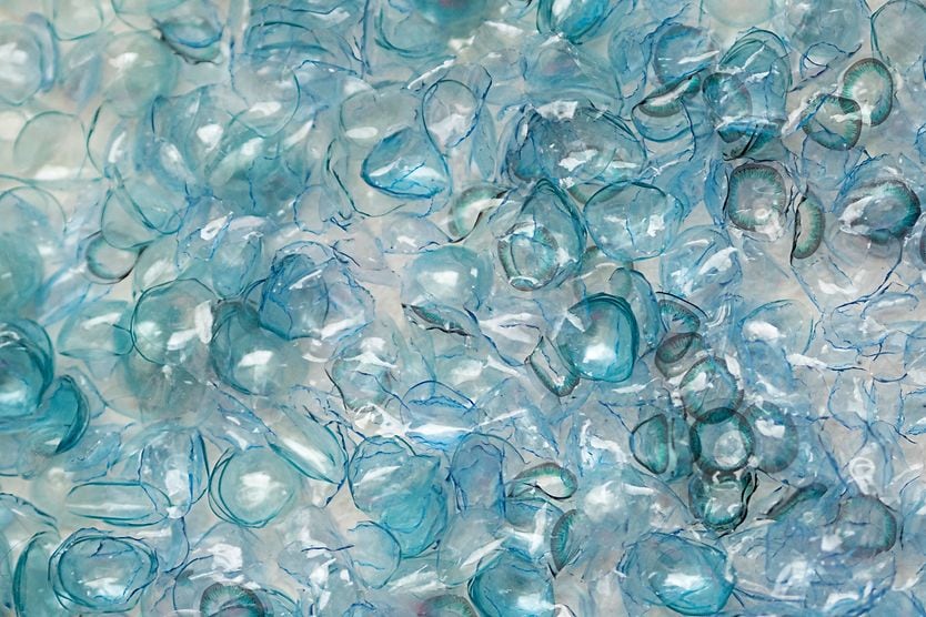 Don’t flush contact lenses. Recycle them illustration of contact lenses being thrown in the toilet