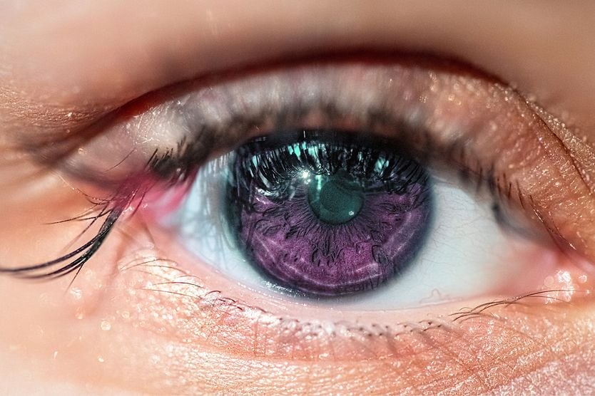 closeup of a violet eye