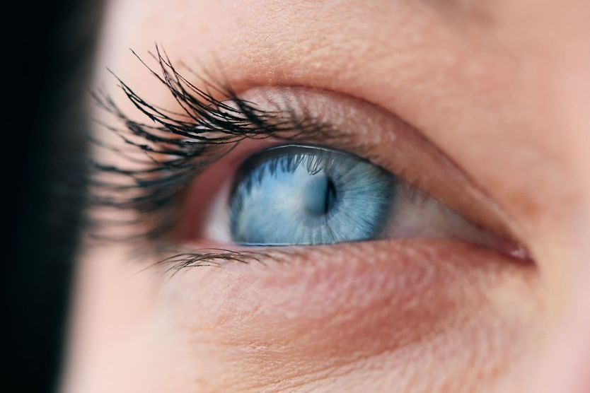 Can you get an eye transplant? surgeon's hand holding an eye transplant