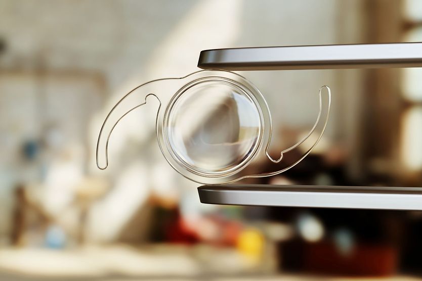 Image of a nature scene with trees and green grass through the outline of a presbyopia iol. Image of a nature scene with trees and green grass through the outline of a presbyopia iol.