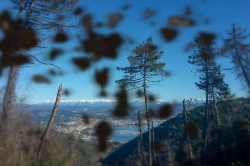 Effetti visivi dovuti alla retinopatia diabetica