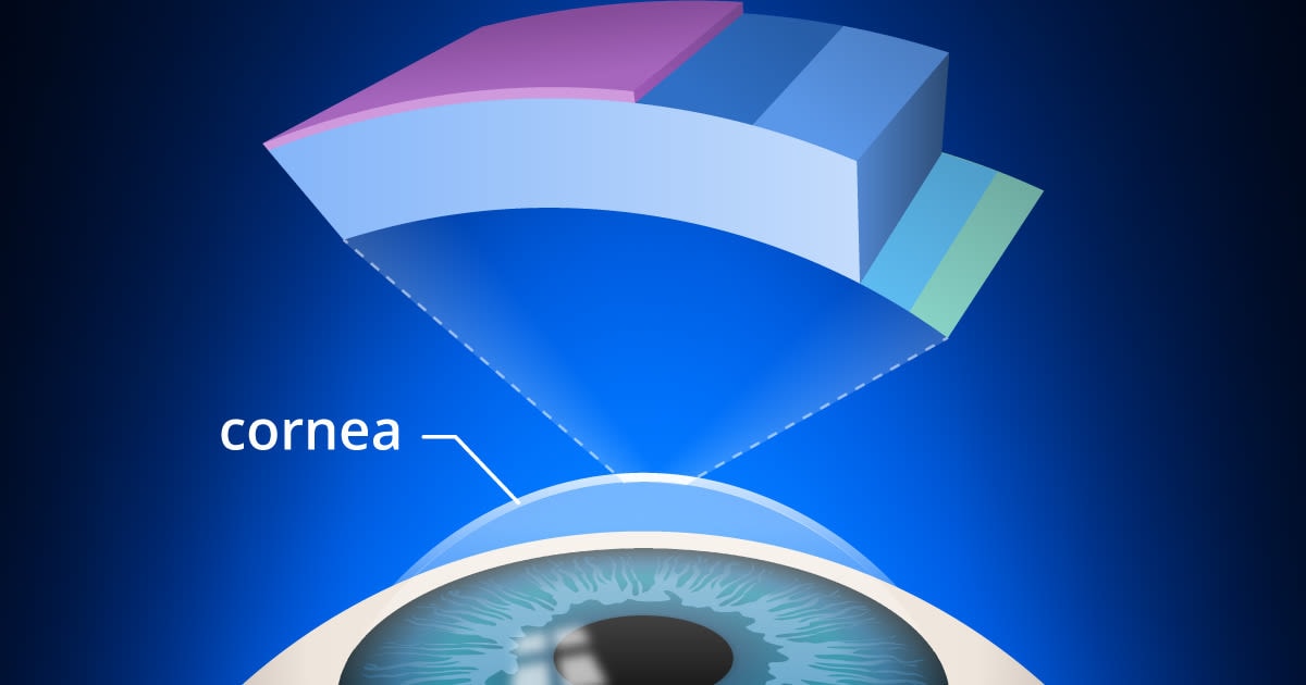 Cornea diagram