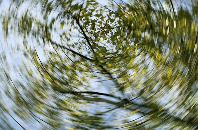 dizzy and blurry view of trees in the sky