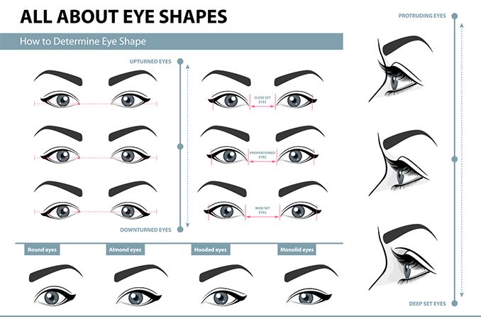 Illustration of different eye shapes and eyelid types.