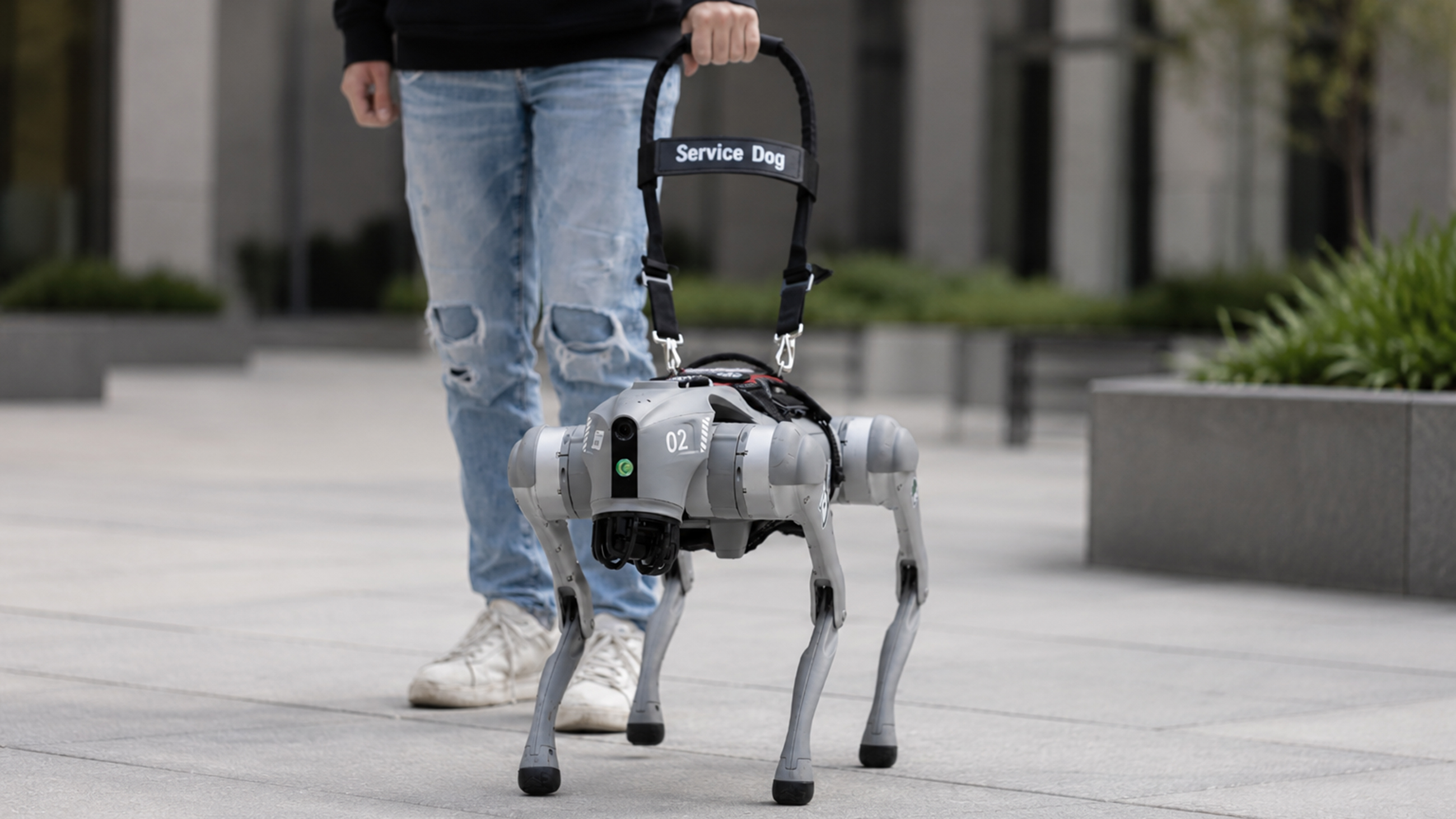 Person holding on to the leash of an AI robot guide dog.