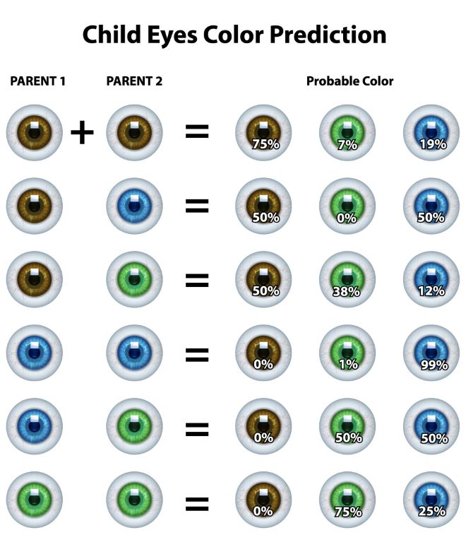 Child Eye Color Prediction Chart