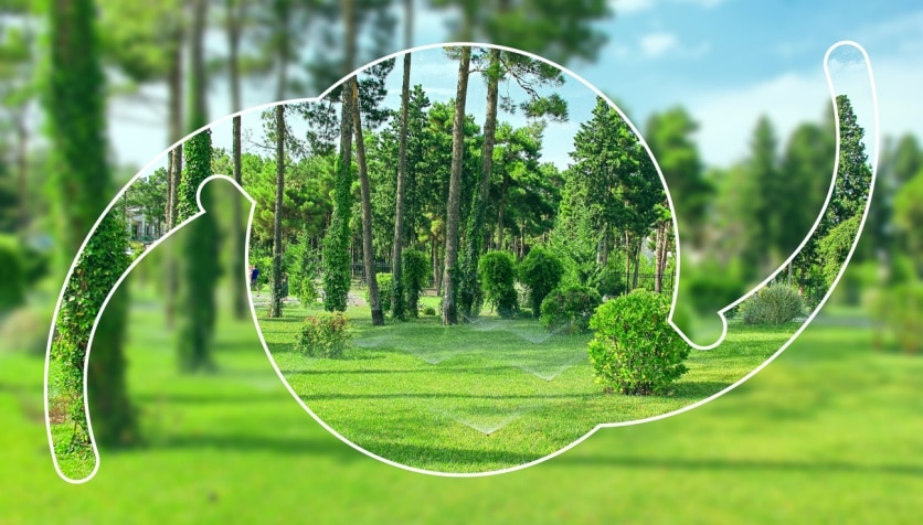 Image of a nature scene with trees and green grass through the outline of a presbyopia iol.