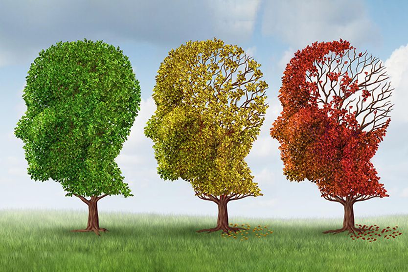 3 trees in the shape of heads with leaves slowly blowing away