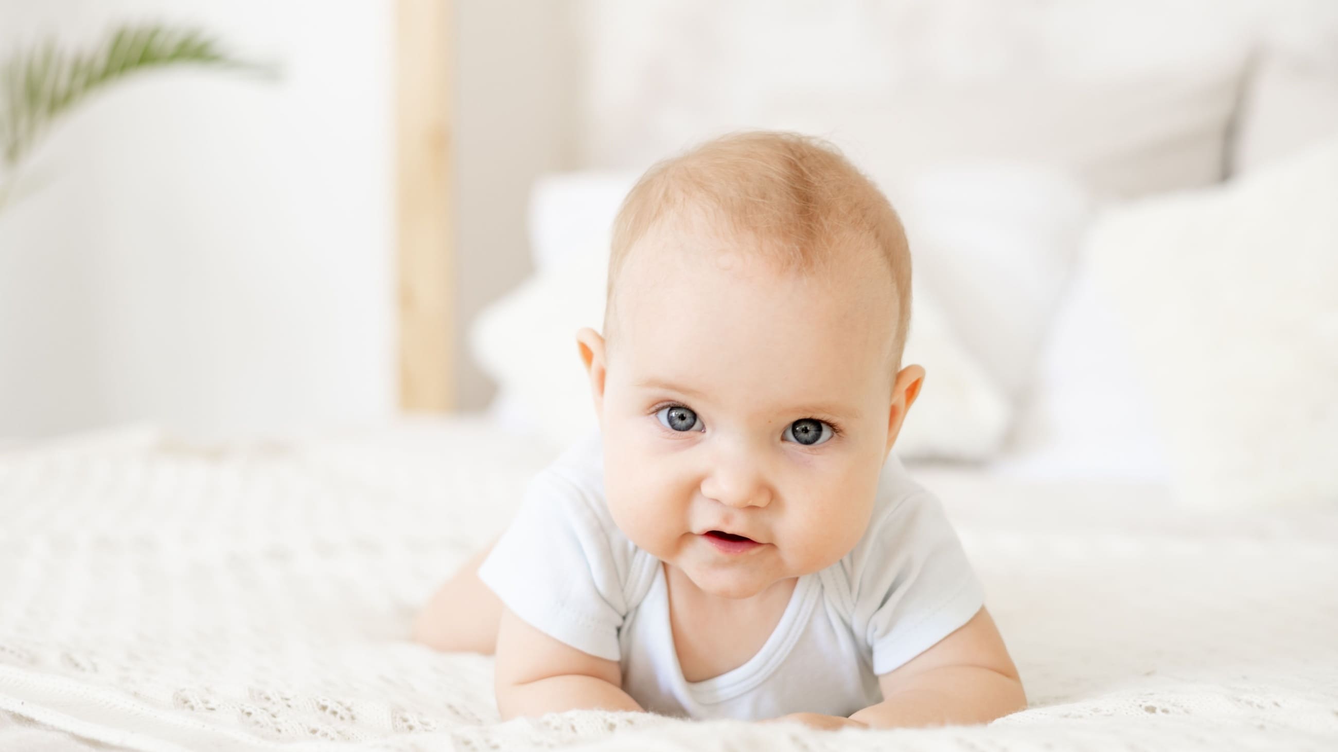 Is it true all babies are born with blue eyes? Is it true all babies are born with blue eyes?