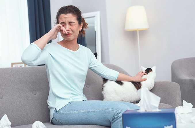 Cats and eye allergies: Symptoms, causes and how to help