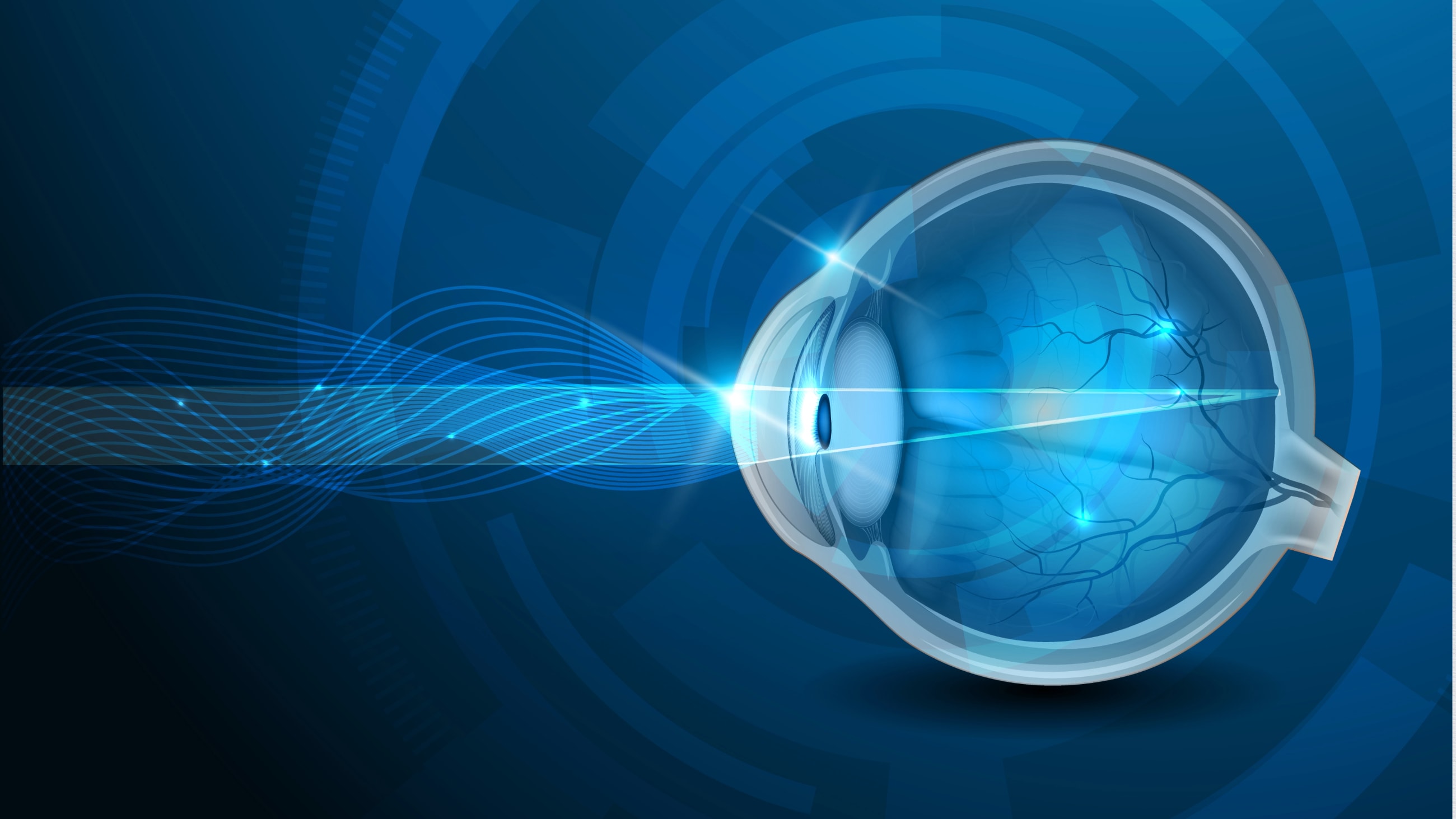 Eye anatomy: A closer look at the parts of the eye Eye anatomy: A closer look at the parts of the eye