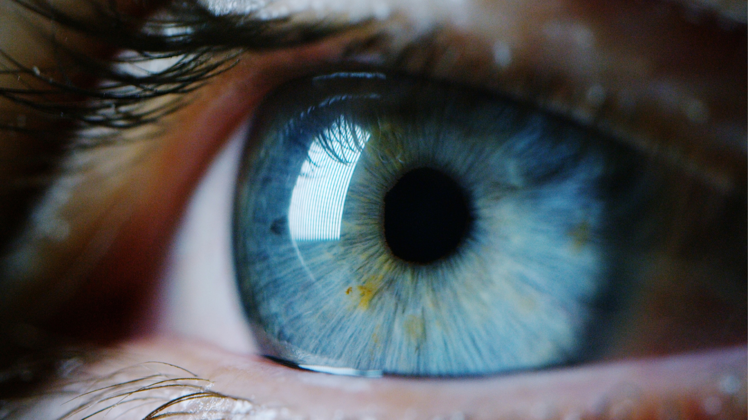 Vision: How does eyesight work? Vision: How does eyesight work?
