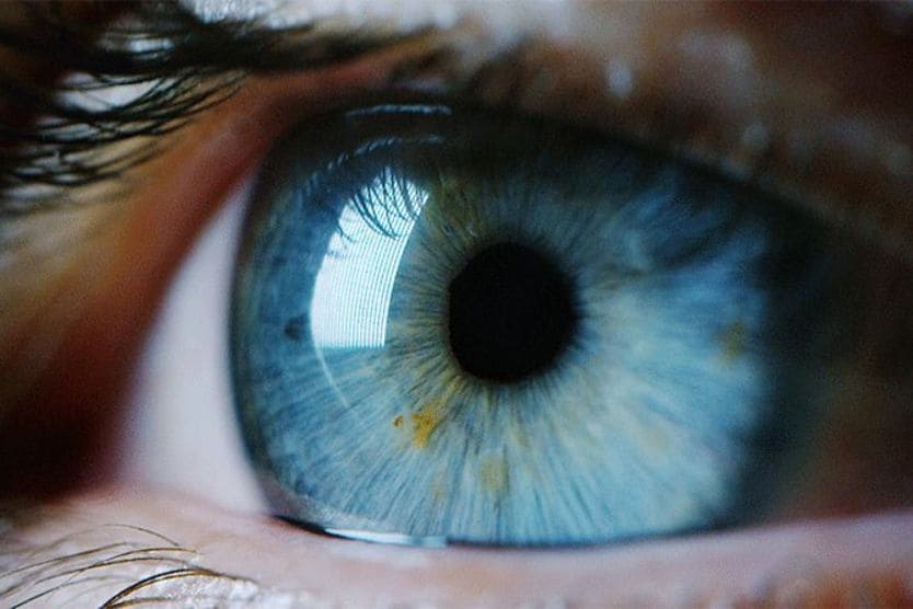 closeup image of an eye (vision)