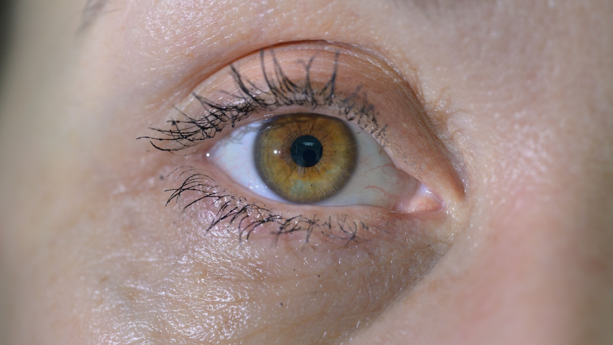 boy with amber eyes boy with amber eyes