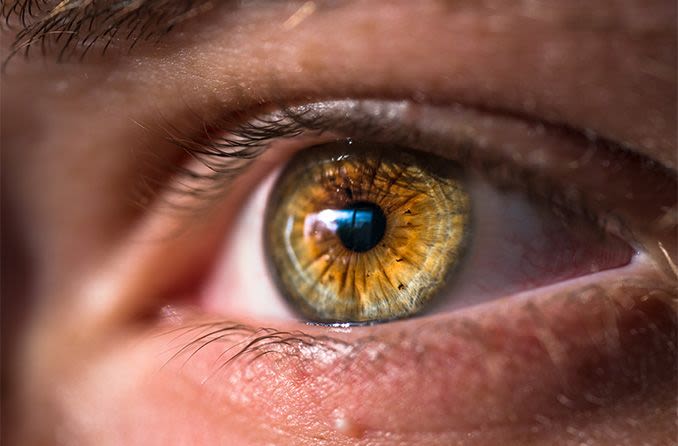 Hazel eyes: What determines hazel eye color?