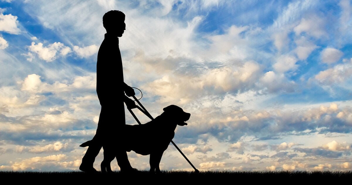 What does it mean to be legally blind? What does it mean to be legally blind?