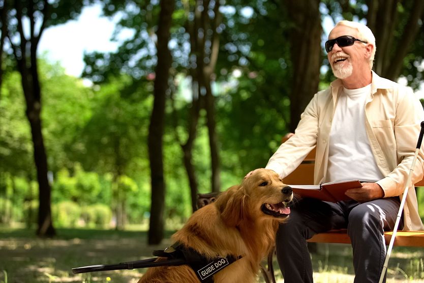 Legally blind man sitting on park bench with guide dog Legally blind man sitting on park bench with guide dog
