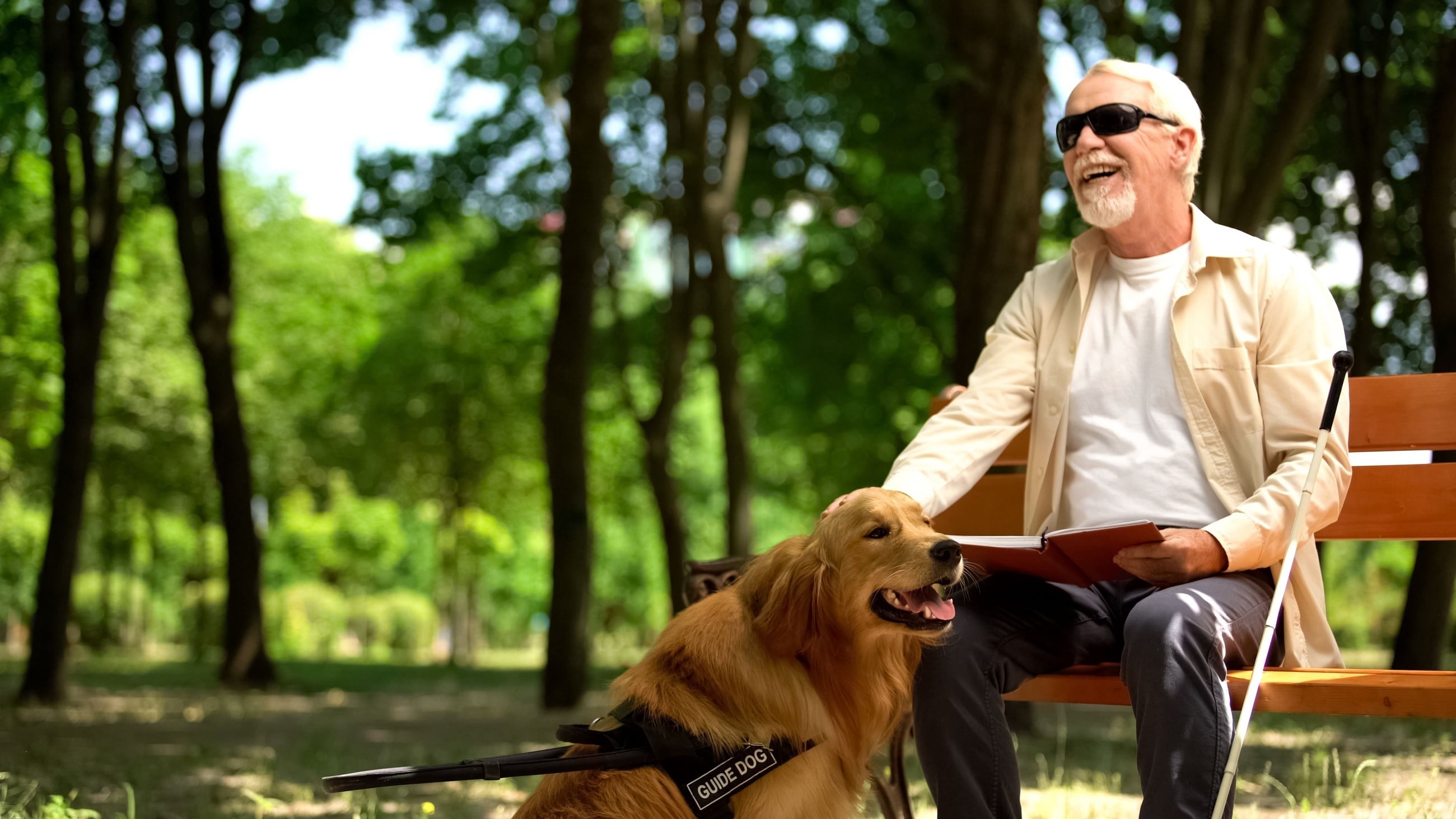 Legally blind man sitting on park bench with guide dog