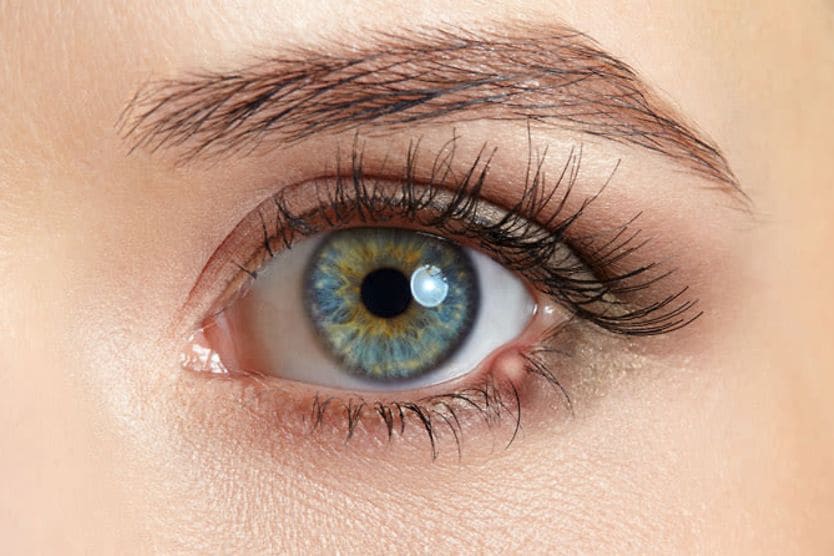 photo depiction of an eye stye photo depiction of an eye stye