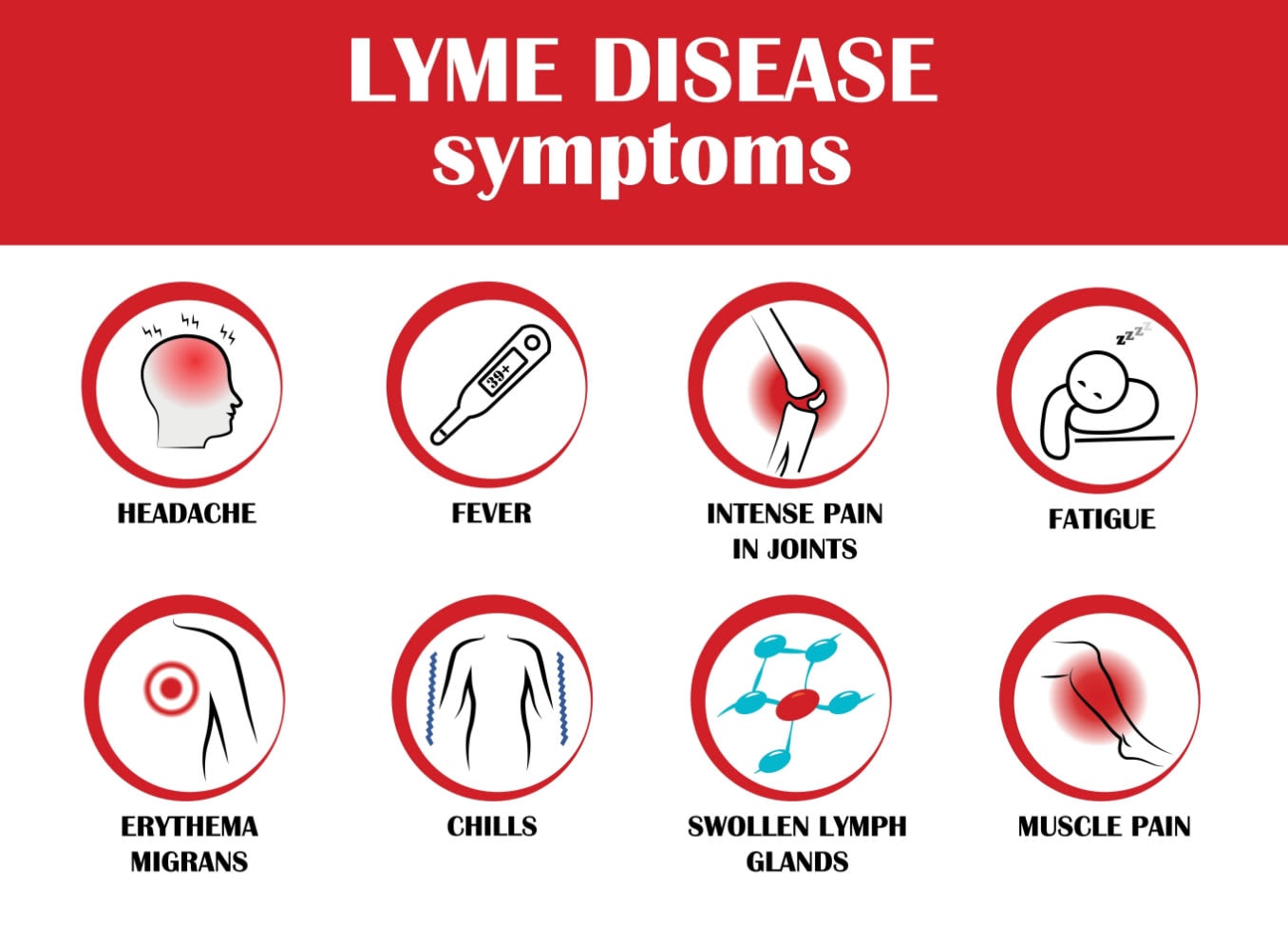 How Lyme disease affects the eyes