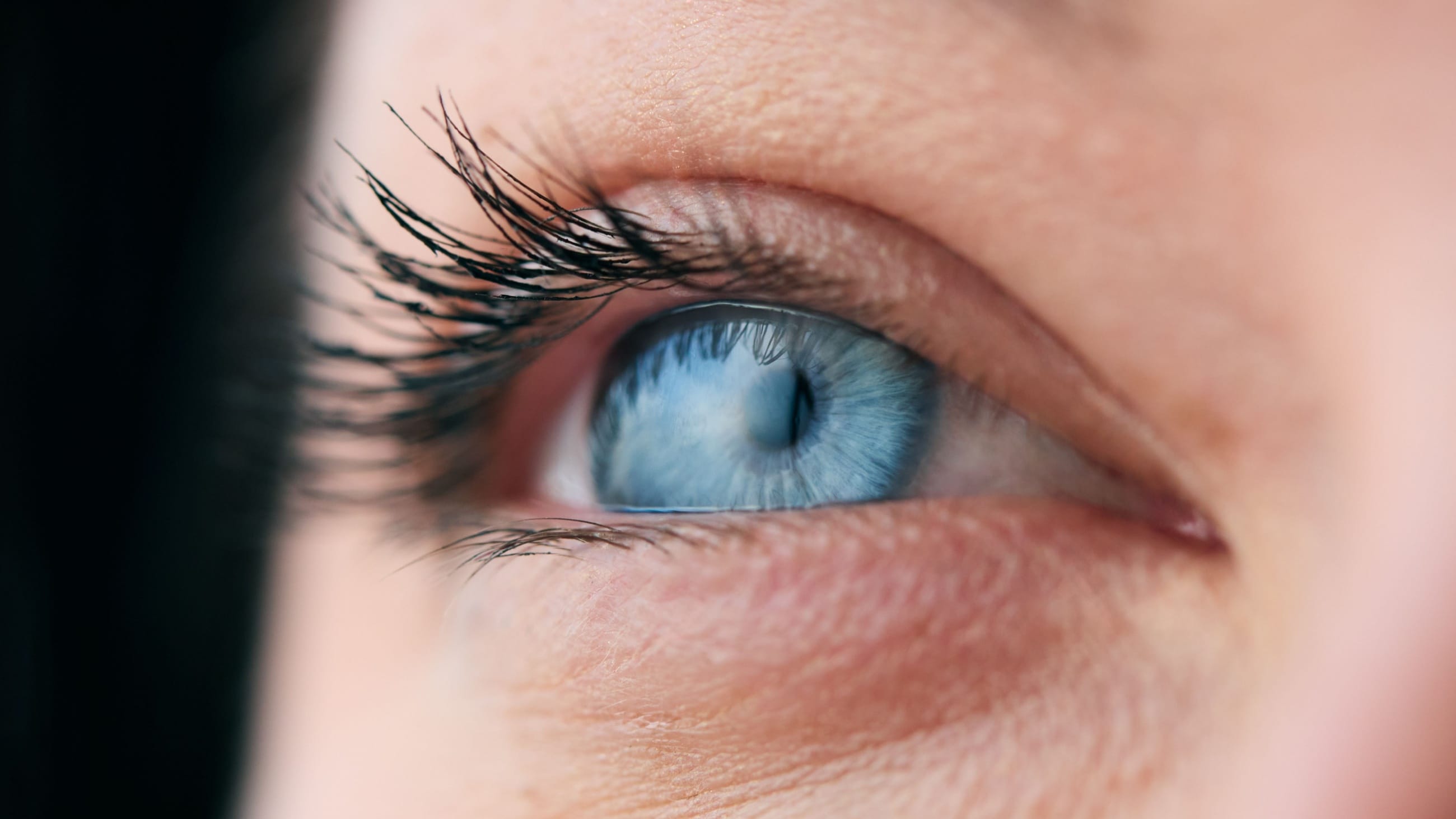 surgeon's hand holding an eye transplant